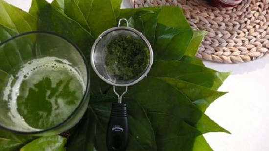 Tác dụng không ngờ từ lá trầu không