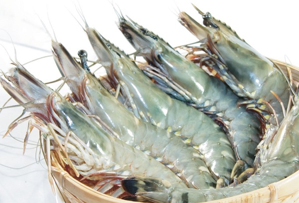 Mẹo chọn mua tôm Mẹo chọn mua tôm